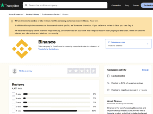 Fake Review Investigations against Binance
